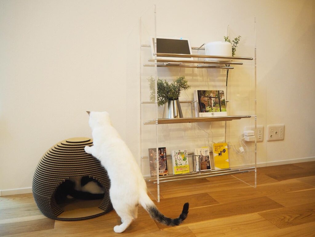 ディノスの本棚 クリアブックシェルフ】シンプルで透明なデザインが 